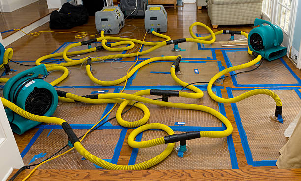 Professional Basement Flood Cleanup technician working in Three Bridges, NJ