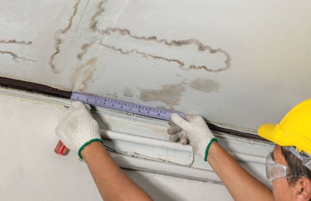 Affordable Water Damage Repair solutions in Three Bridges, NJ